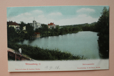 Ansichtskarte AK Strausbert II 1906 Villa Häuser am Schwanensee Architektur Ortsansicht Brandenburg